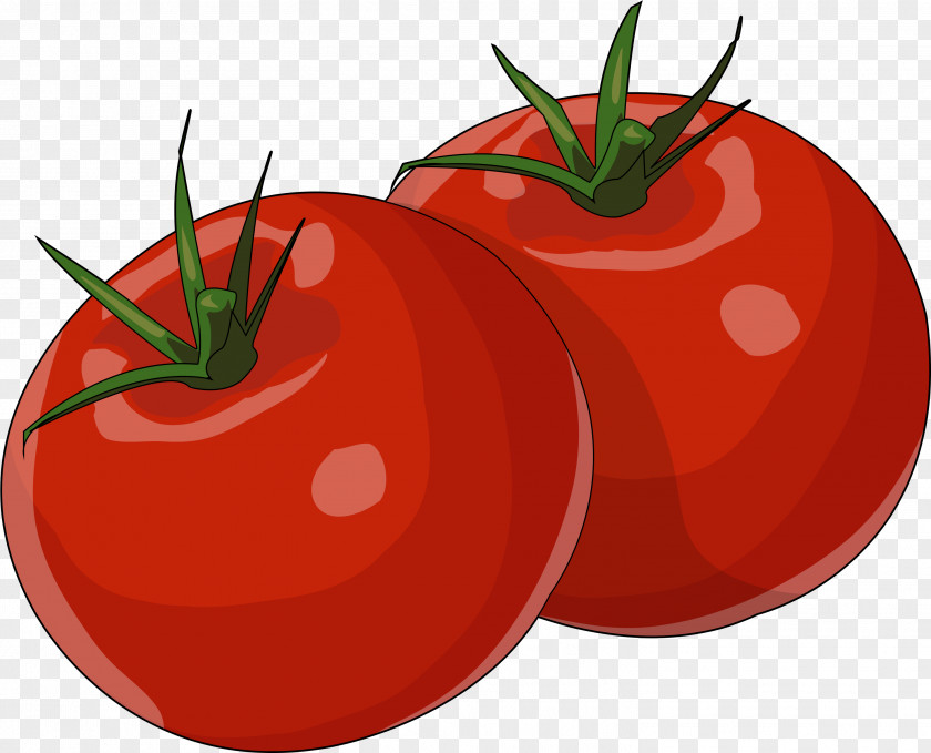 Vegetarian Food Cherry Tomatoes Drawing Of Family PNG