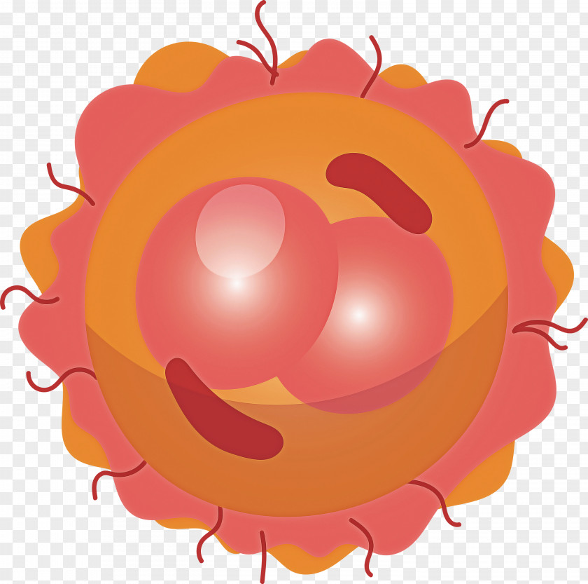 Coronavirus Corona COVID PNG