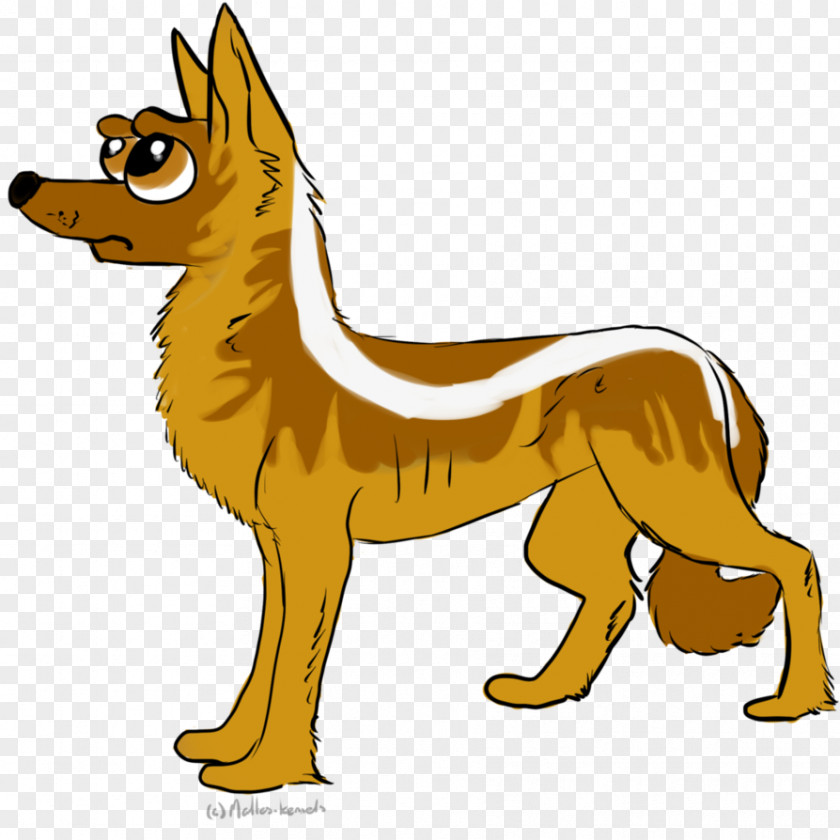 Dog Breed Red Fox Snout Clip Art PNG