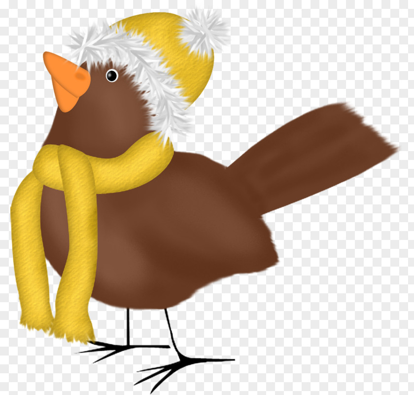 Hat Scarf Chicken Bird Duck Clip Art PNG