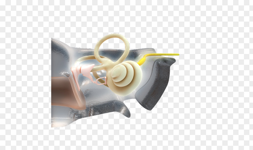 Middle Ear Plastic Computer Hardware PNG