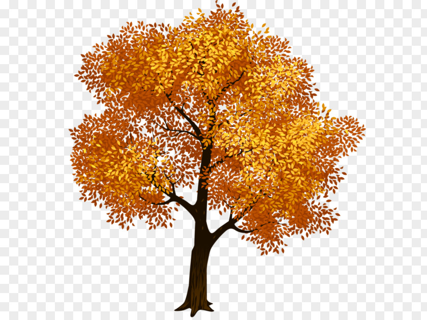 Tree Clip Art Fall Image PNG