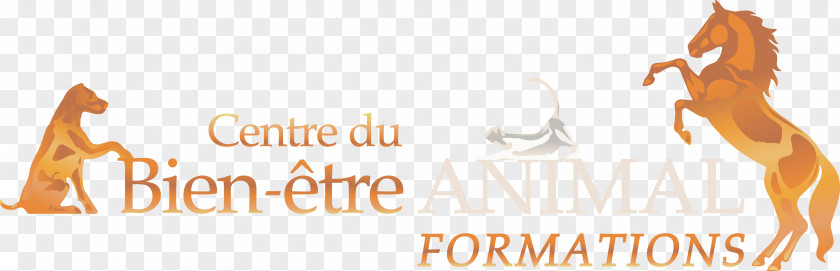 Animal Logo Horse Font Brand PNG
