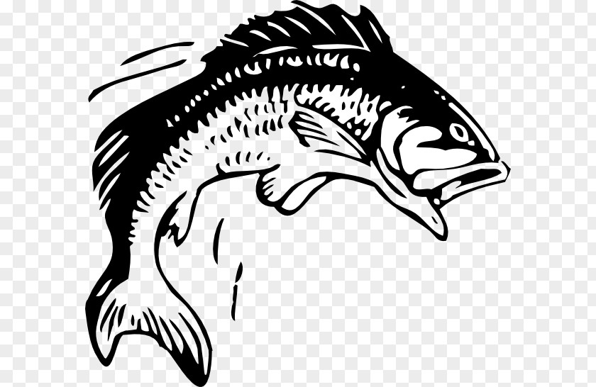 Bass Jumping Cliparts Fishing Free Content Clip Art PNG