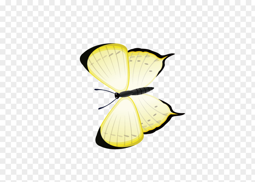 Butterfly,Yellow Butterfly Yellow Computer File PNG