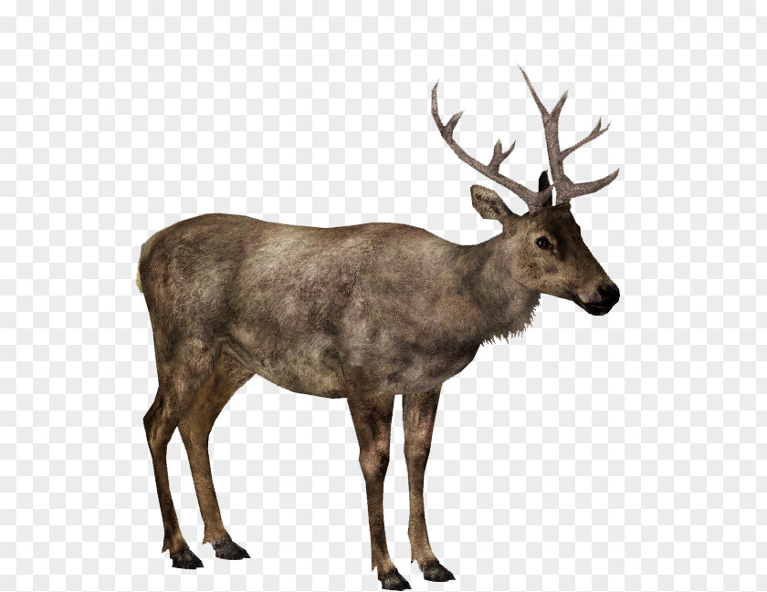 Deer Elk Moose Zoo Tycoon 2 PNG