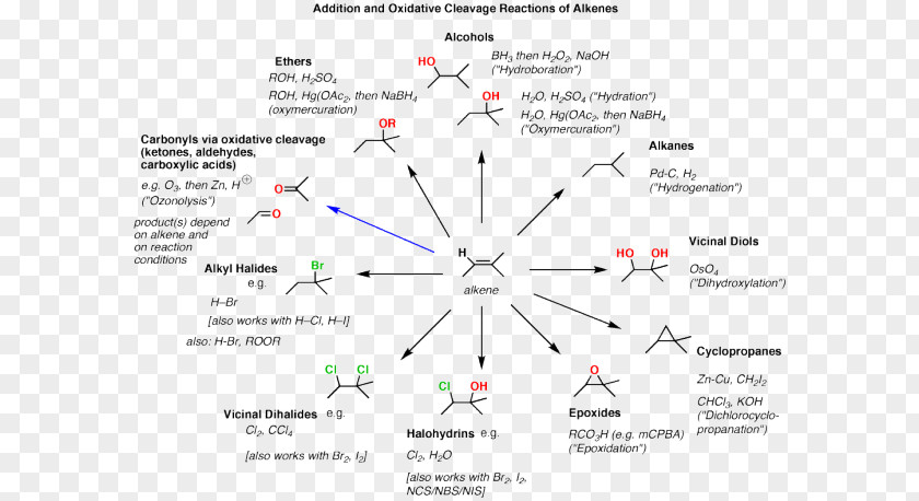 Organic Chemistry Chemical Reaction Alkene Mechanism PNG