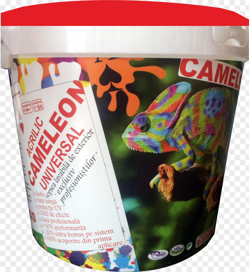 Cameleon Chameleons Plastic PNG