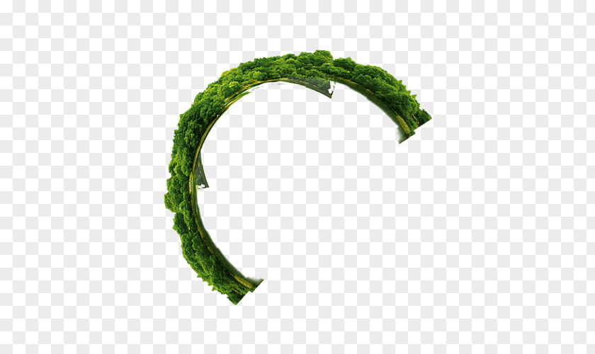 FIG Green Ring Semicircle Annulus PNG