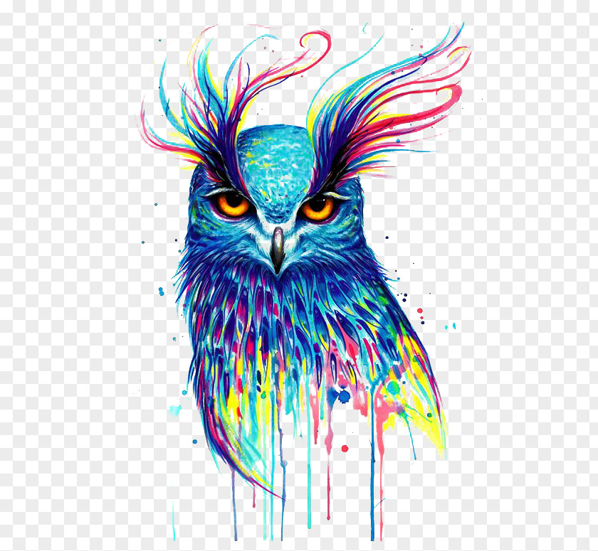 Owl Drawing Artist Painting PNG