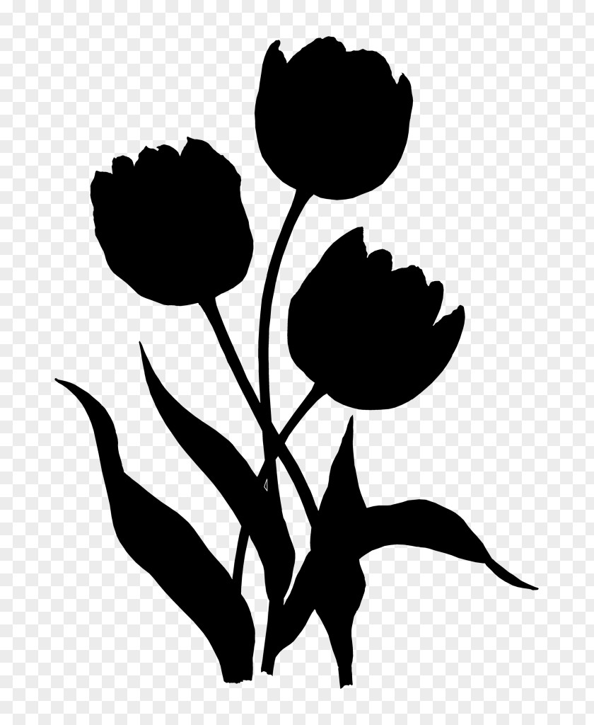 Tulip Rose Family Clip Art Plant Stem Leaf PNG