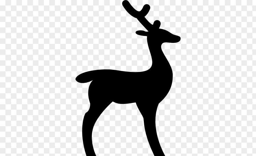 Animal Silhouettes White-tailed Deer Reindeer Hunting PNG