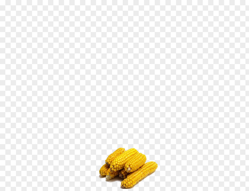 Corn On The Cob Yellow Pattern PNG