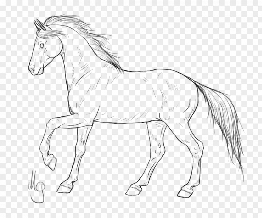Drawing Mustang Horses Pony Line Art American Quarter Horse PNG