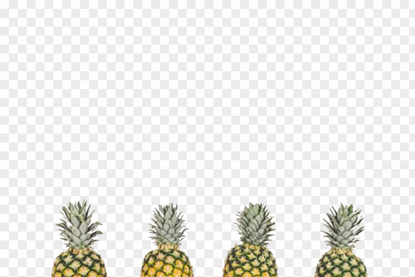 Four Pineapple,Free Matting Paper LEAFLET!! Poster PNG