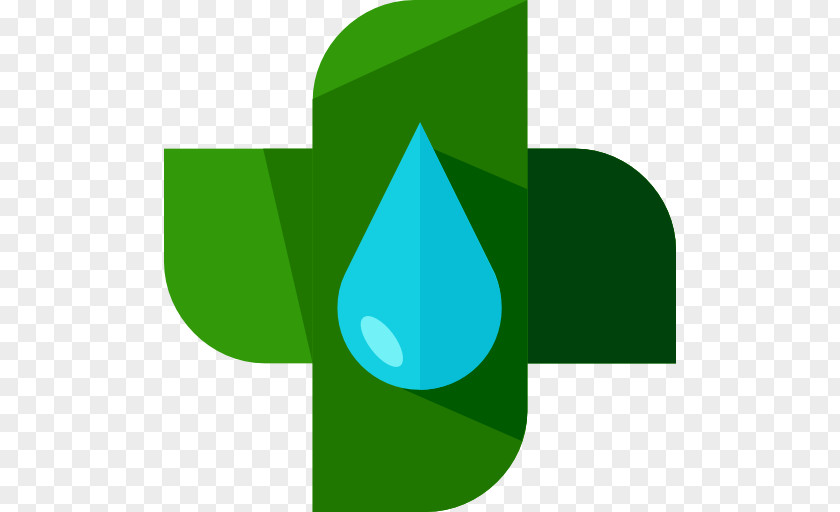 Green Brand Leaf PNG
