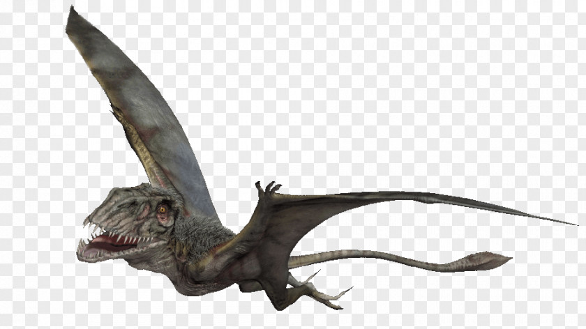 Jurassic Park Dimorphodon Pteranodon Edmontosaurus Flying Reptiles Quetzalcoatlus PNG