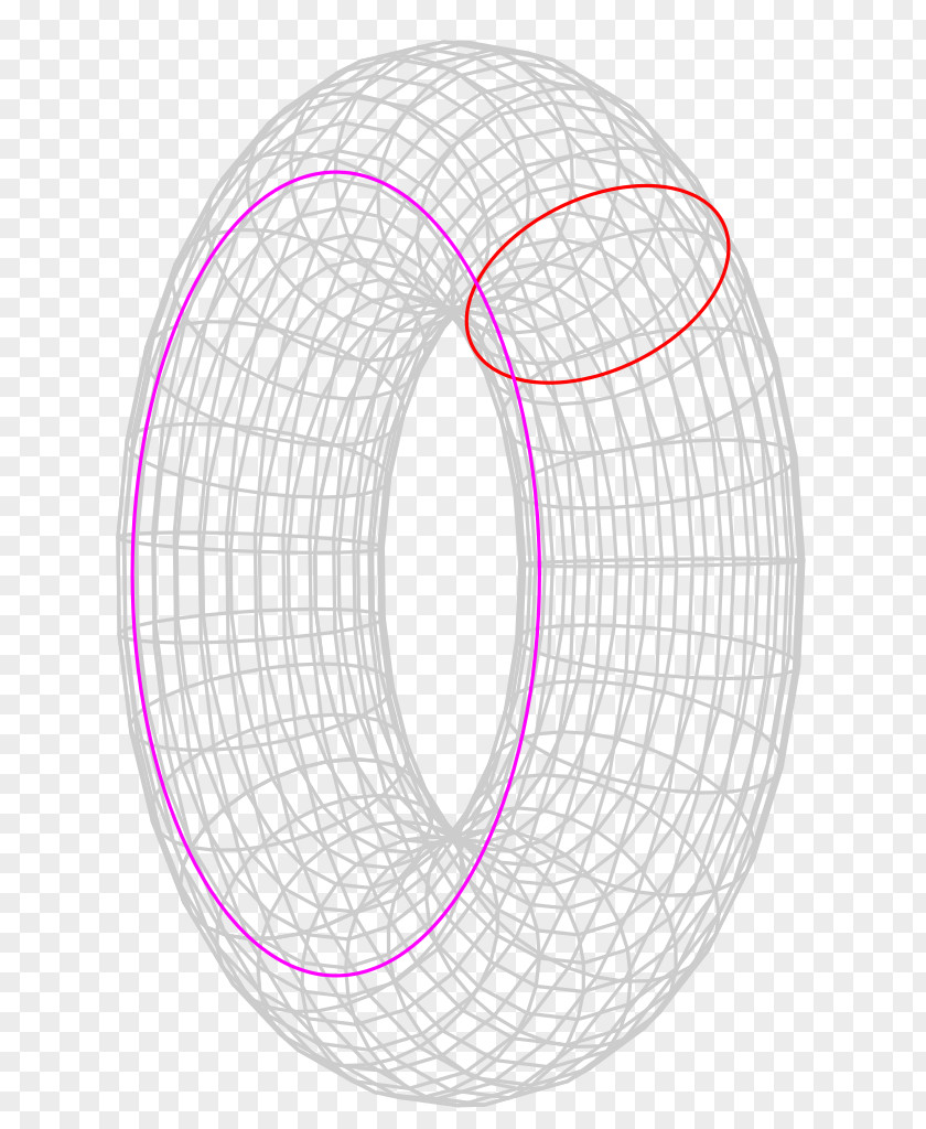 Mathematics Poincaré Conjecture Torus Homeomorphism PNG