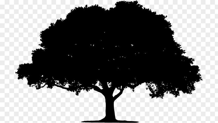 Black And White Tree Silhouette Clip Art PNG