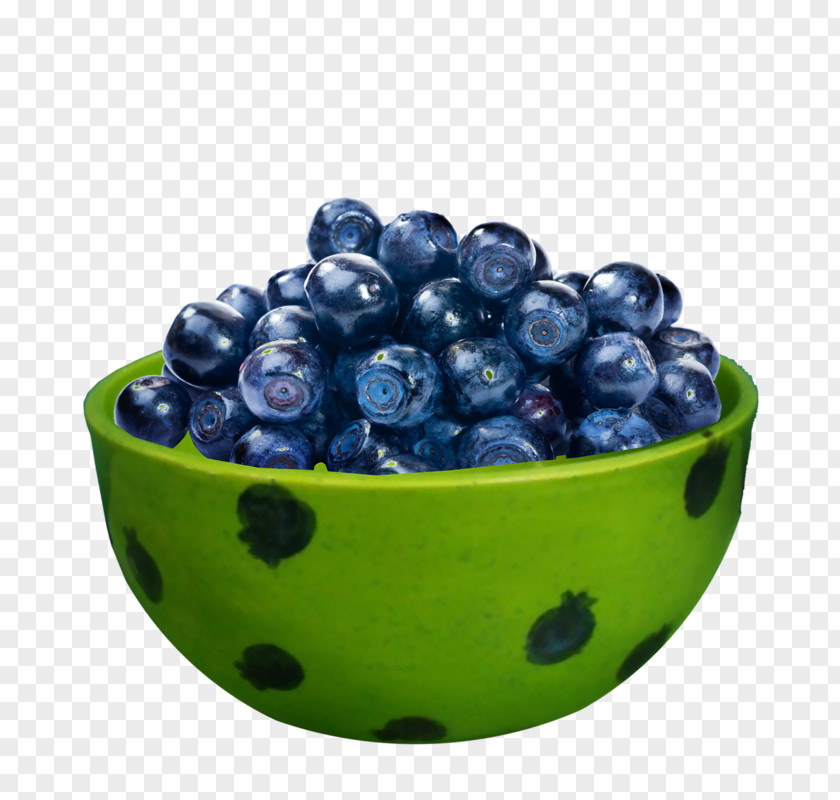 Blueberry European Bilberry Fruit PNG