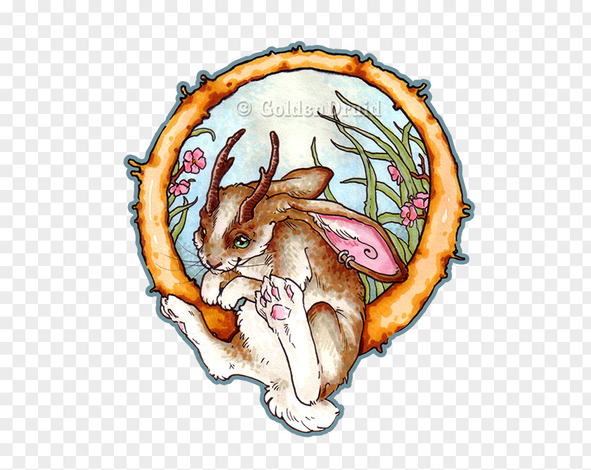 Bounding Rodent Carnivores Hare Cartoon Illustration PNG