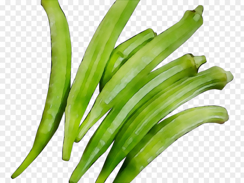 Green Bean Plant Stem Okra Commodity Scallion PNG