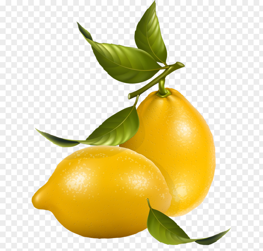 Lemon Royalty-free Clip Art PNG