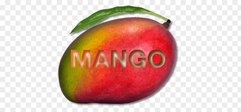 Mango Fruit PNG