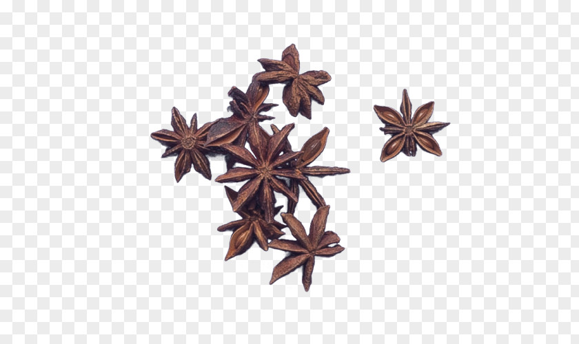 Spice Star Anise Flavor Stewing PNG