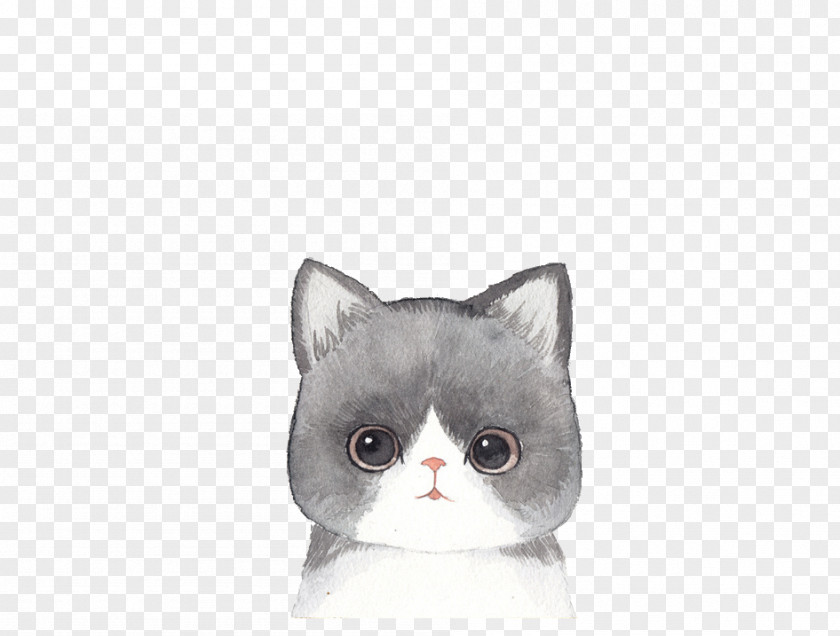Stay Meng Cat IPhone 4S 6s Plus 6 7 PNG