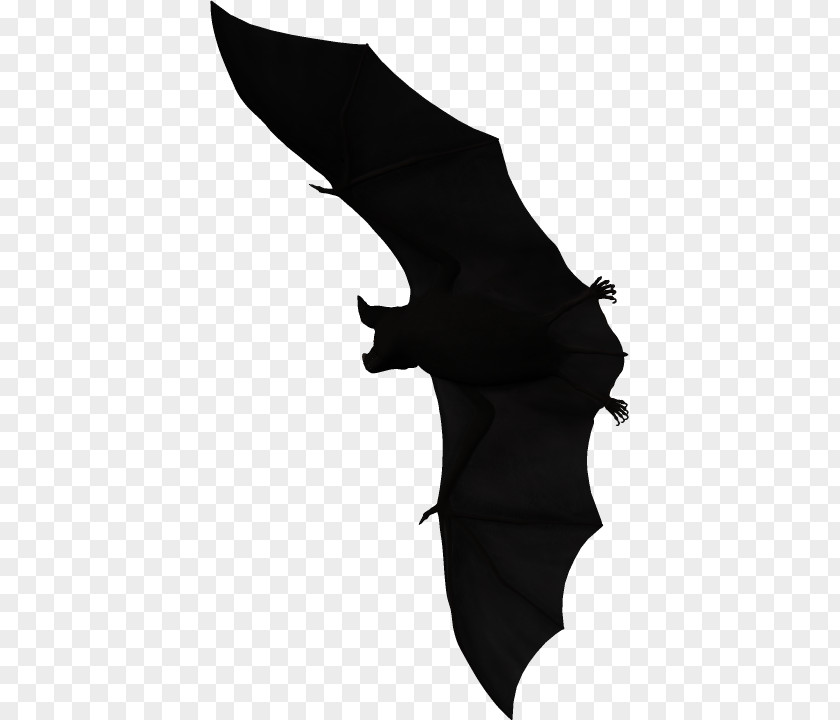 Bat Halloween Film Series PNG