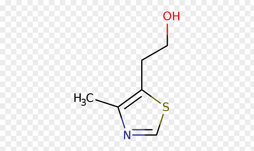 Boletus Edulis Riboflavin B Vitamins Tetrahydrocannabinol Nutrient PNG