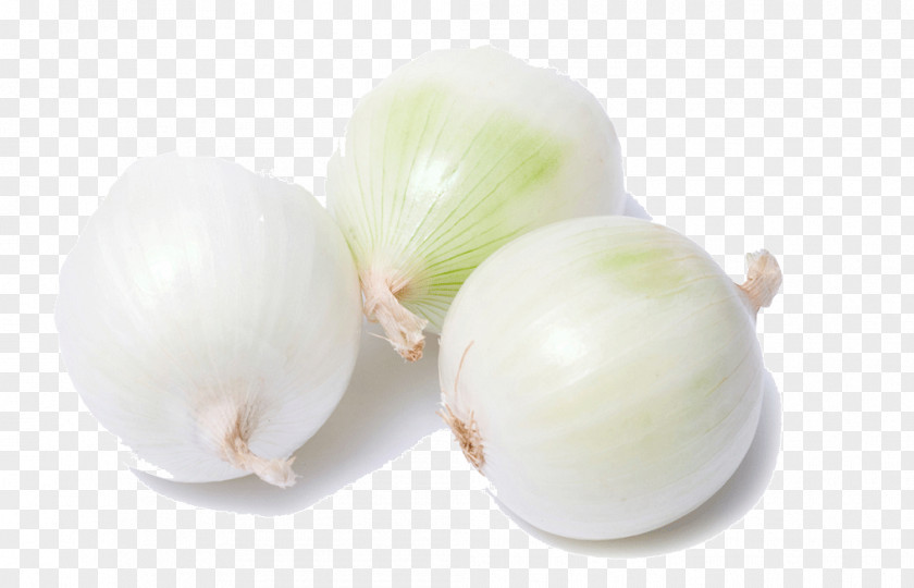 Garlic Yellow Onion Shallot Vegetable White PNG