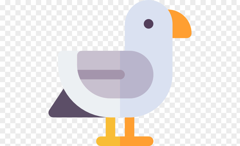 Seagull Vector PNG