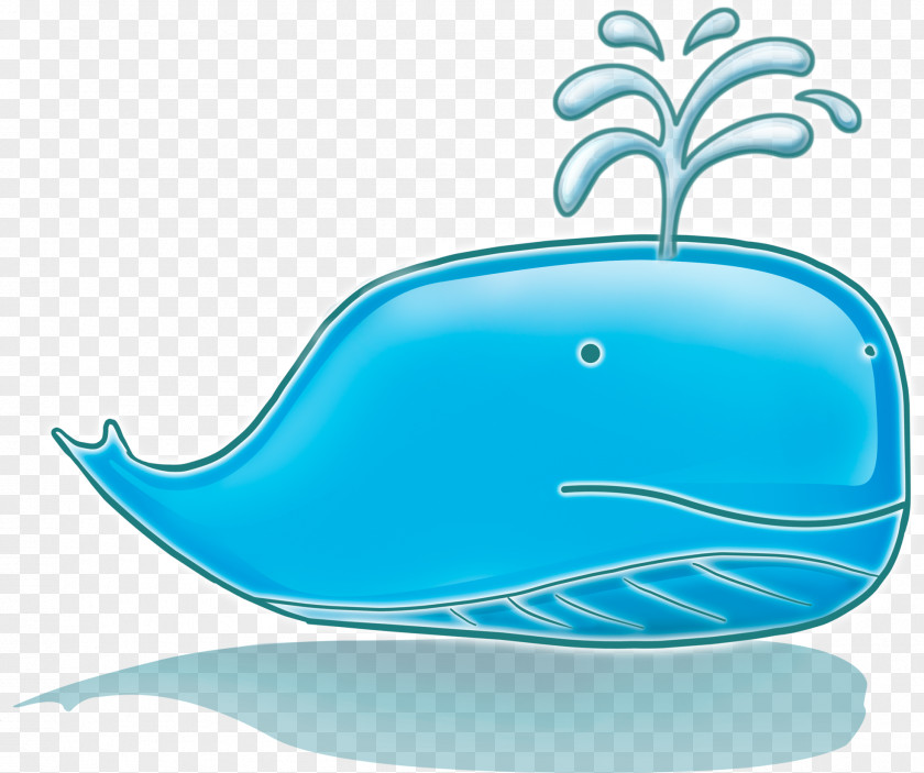 Whale Whales Sticker Drawing Sperm Clip Art PNG