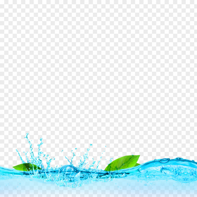 Blue Fresh Water Leaves Decorative Patterns PNG