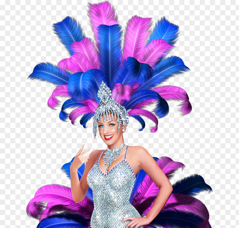 Feather Hair Carnival Cruise Line Clothing Accessories PNG