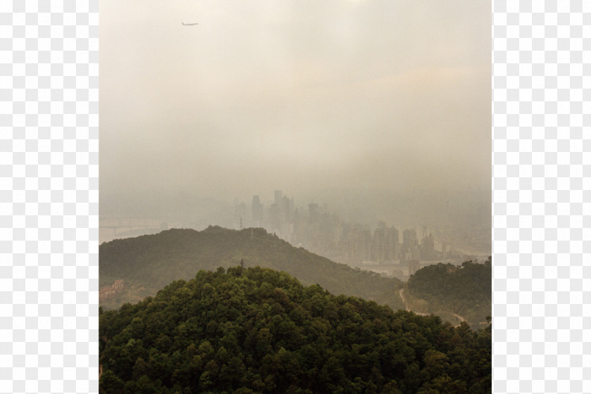 Urban Farm Nanshan District, Shenzhen ChinaFile Chongqing Tree Cityscape PNG