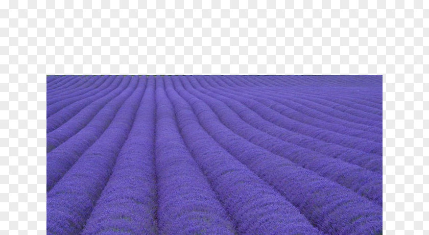 Spectacular Purple Lavender Violet Textile PNG