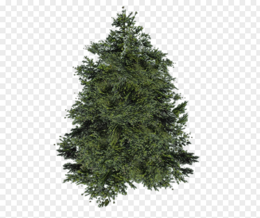 Tree Balsam Fir Artificial Christmas Pine Cedar PNG