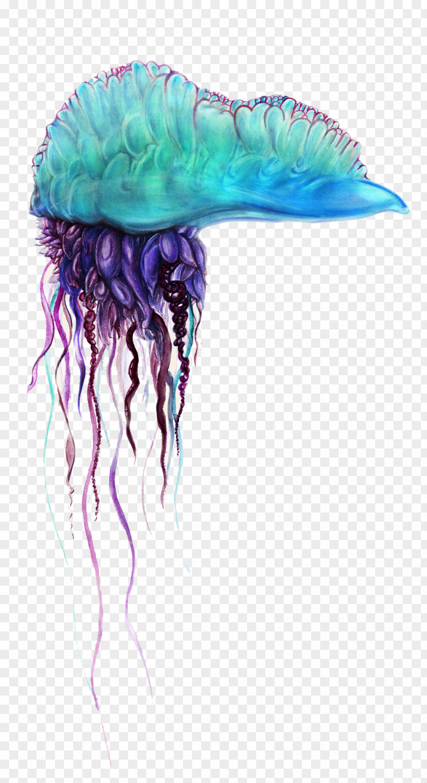 Water Png Transparent Background Portuguese Man O' War Portable Network Graphics Jellyfish Image Desktop Wallpaper PNG