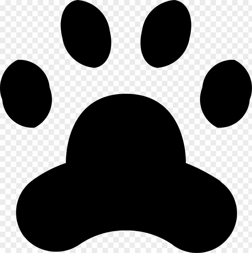 Dog Photography Clip Art PNG