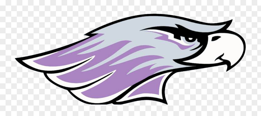Student University Of Wisconsin–Whitewater Warhawks Football Wisconsin-Madison Marquette Wisconsin Intercollegiate Athletic Conference PNG