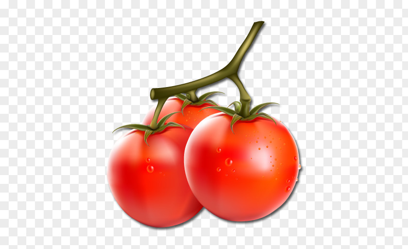 Ceu Vector Graphics Vegetable Cherry Tomato Clip Art Illustration PNG