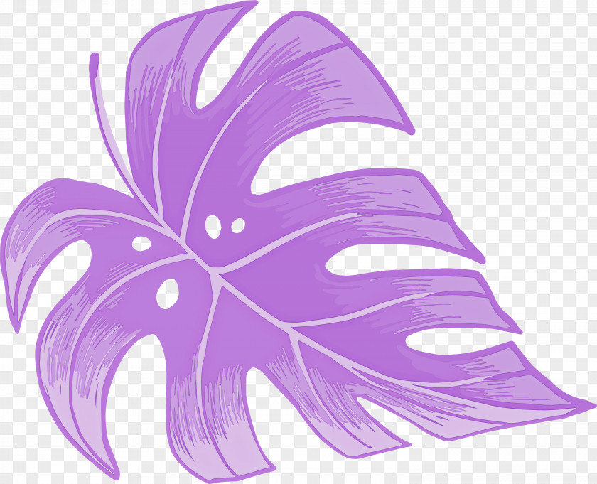 Leaf PNG