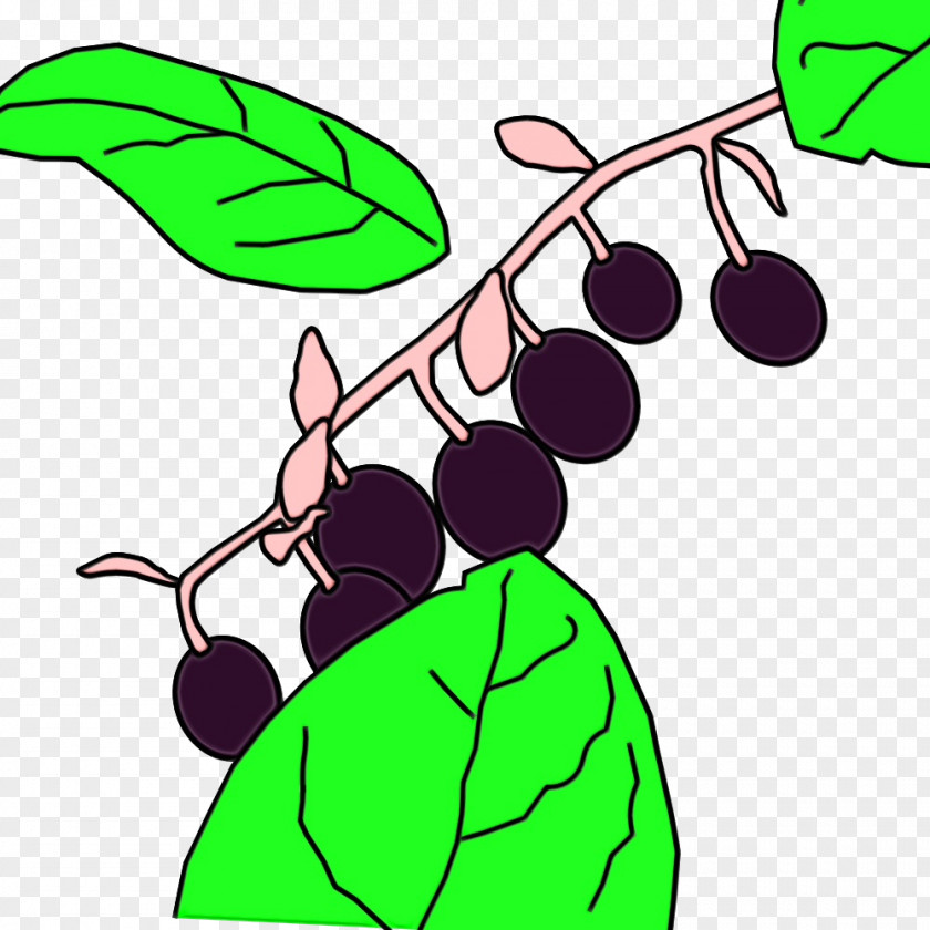 Flower Seedless Fruit Grape Leaf PNG