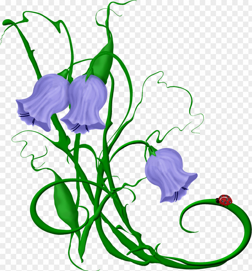 Lilac Flower Photography Clip Art PNG