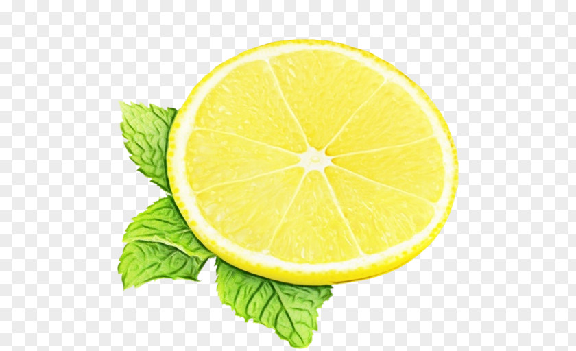 Natural Foods Lemonlime Watercolor PNG