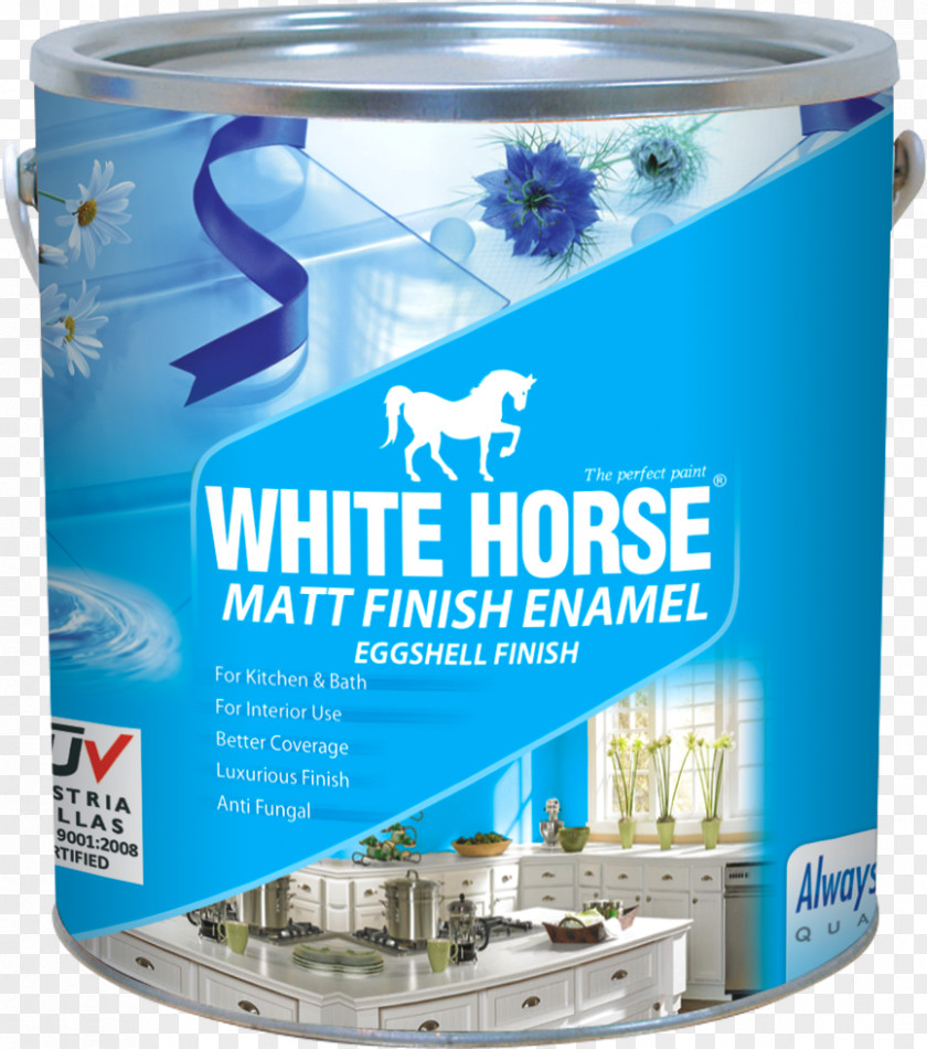 Painter Interior Or Exterior Horse Liquid Paint Water PNG
