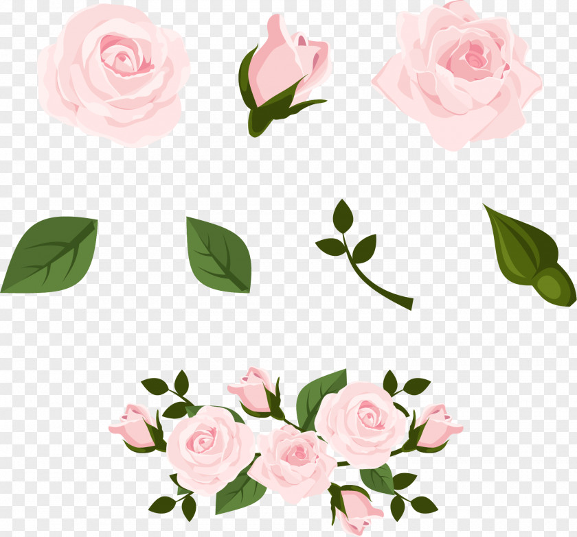 Pale Pink Rose Flower Beach Euclidean Vector PNG